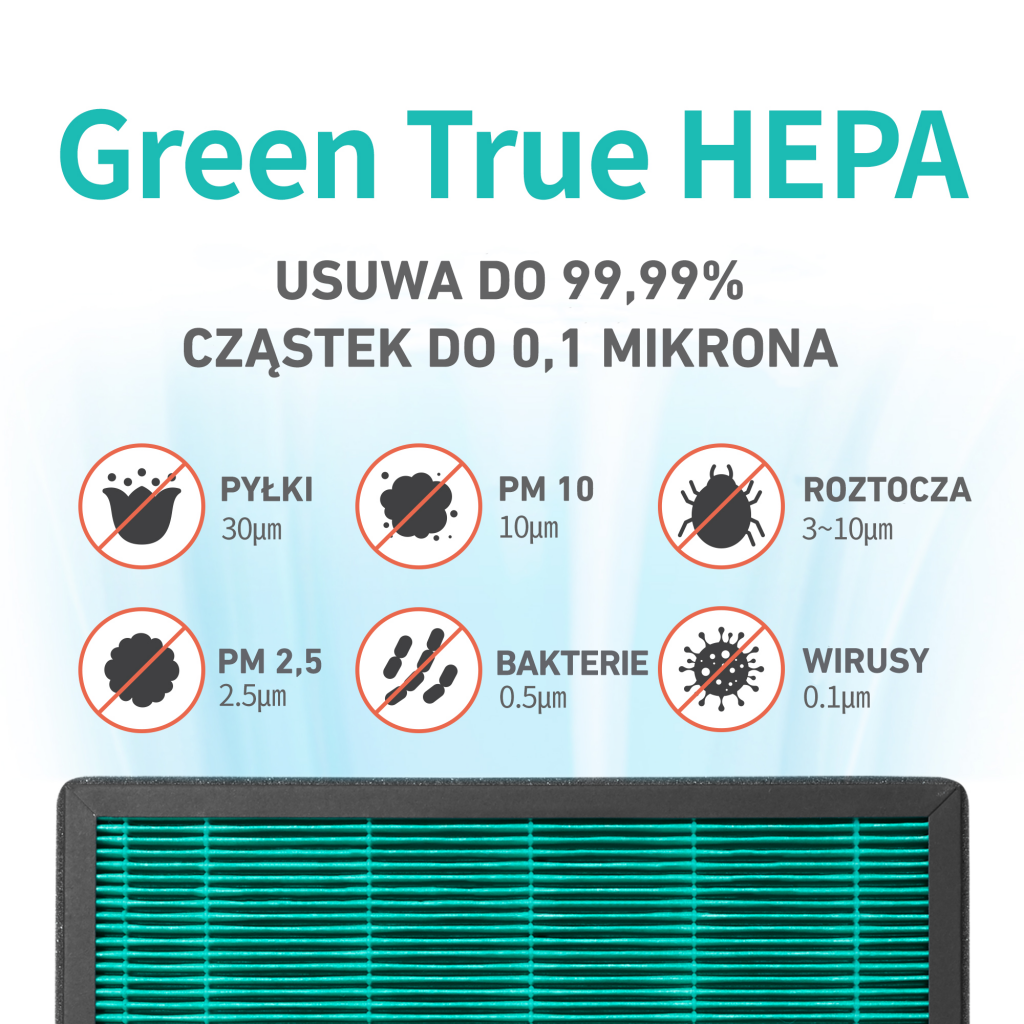filtr green true hepa